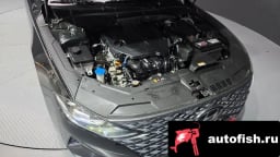 Миниатюра 6