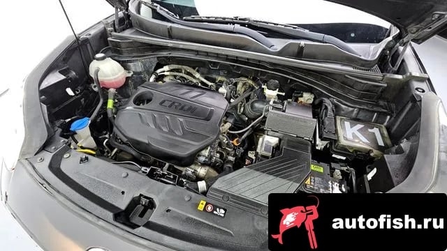 Kia Sportage Sportage The Bold 2019 года - вид 6