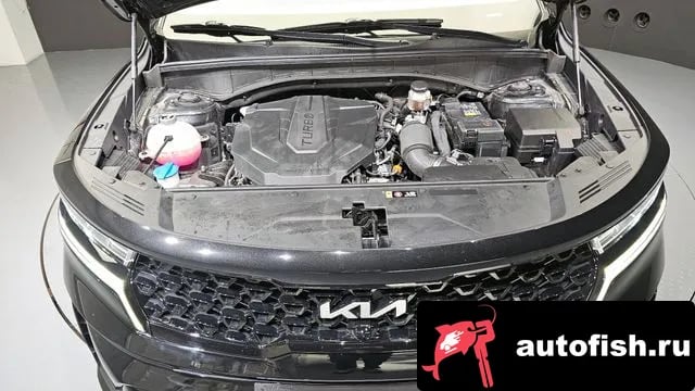 Kia Sorento Sorento 4th Generation 2023 года - вид 6