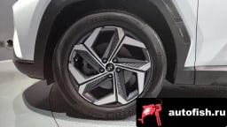 Миниатюра 5