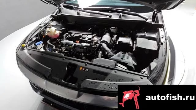 Kia Sportage Sportage 5th Generation 2023 года - вид 6