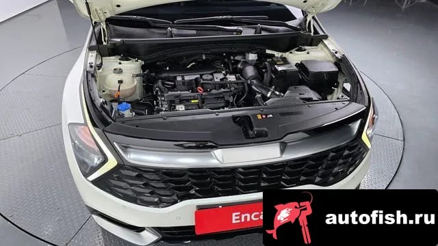Kia Sportage Sportage 5th Generation 2023 года - вид 6