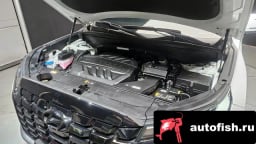 Миниатюра 6