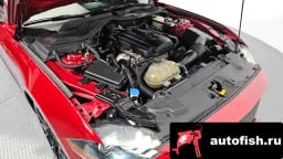 Миниатюра 6