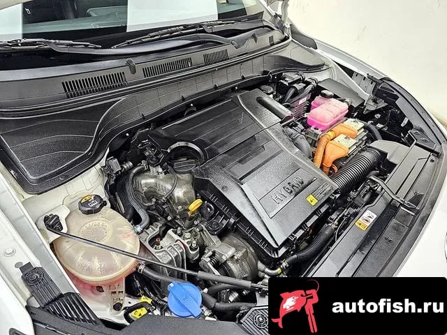 Hyundai Kona The New Kona Hybrid 2021 года - вид 6