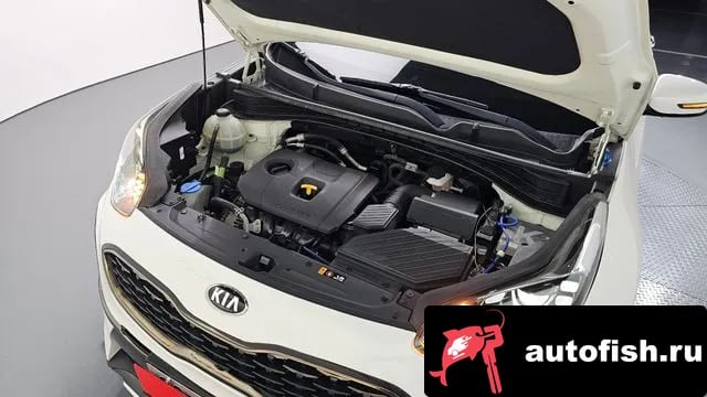 Kia Sportage Sportage The Bold 2019 года - вид 6