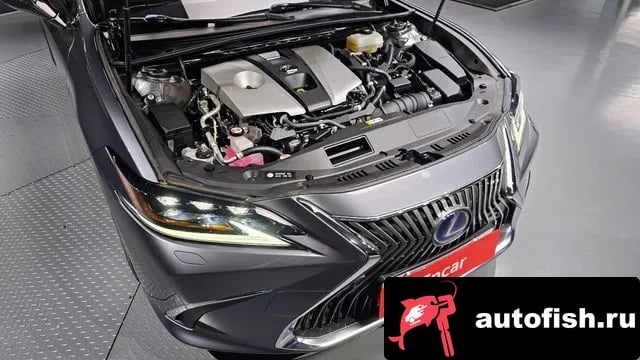 Lexus ES ES300h 7th generation 2019 года - вид 6