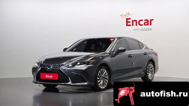 Lexus ES ES300h 7th generation 2024 года - вид 1