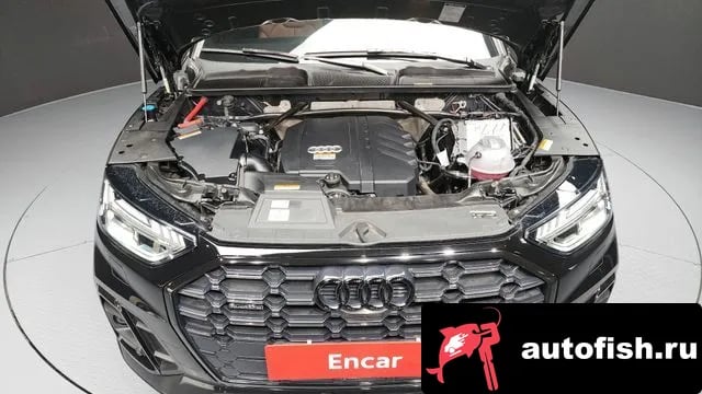 Audi Q5 Q5 (FY) 2023 года - вид 6