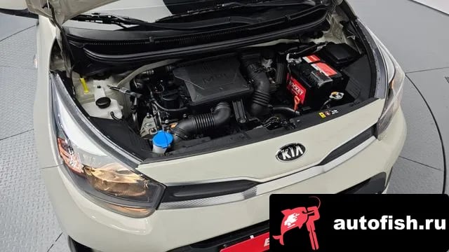 Kia morning Morning Urban (JA) 2020 года - вид 6