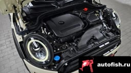 Миниатюра 6