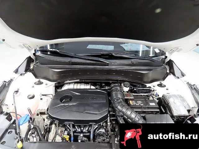 Kia Seltos Celtos 2021 года - вид 6