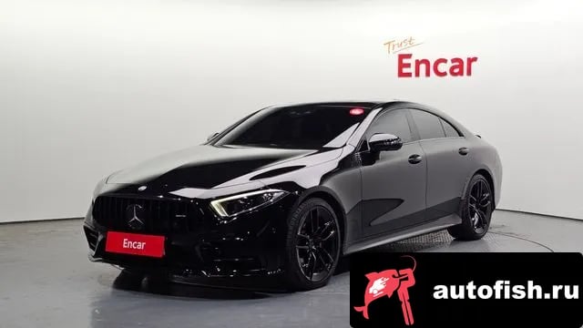 Mercedes-Benz CLS-Class CLS-Class C257 2019 года - вид 1