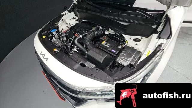 Kia Seltos The New Celtos 2023 года - вид 6