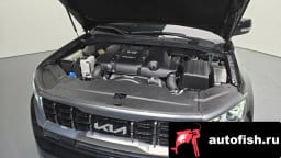 Миниатюра 6