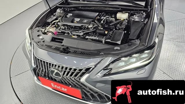Lexus ES ES300h 7th generation 2024 года - вид 6