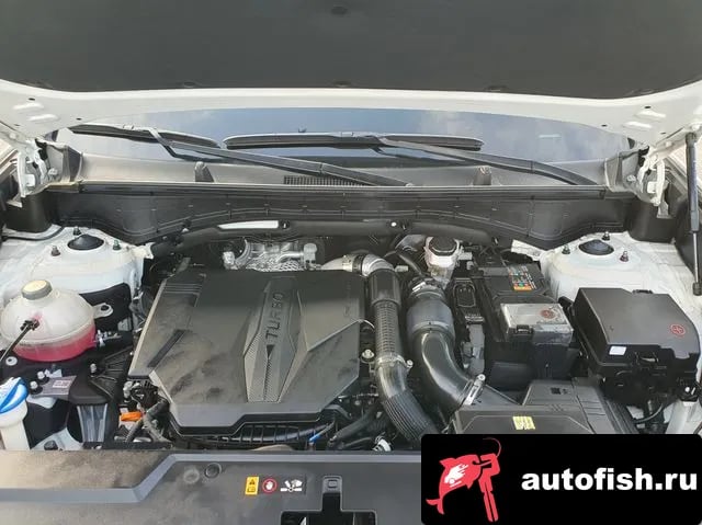 Hyundai Santafe San Tafe (MX5) 2023 года - вид 6