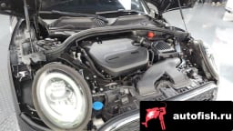 Миниатюра 6