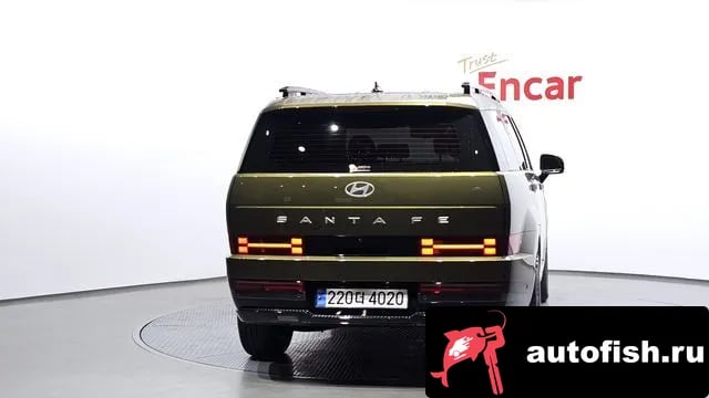 Hyundai Santafe San Tafe (MX5) 2024 года - вид 4