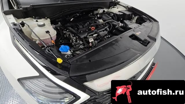 Kia Sportage Sportage 5th Generation 2023 года - похожие автомобили