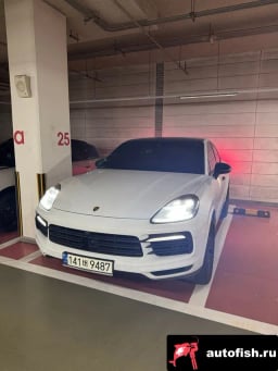 Миниатюра 3