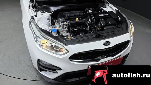 Kia K3 Come New K3 2019 года - вид 6