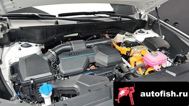 Hyundai Santafe San Tafe (MX5) 2024 года - вид 6