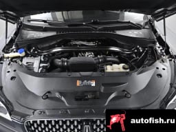 Миниатюра 6