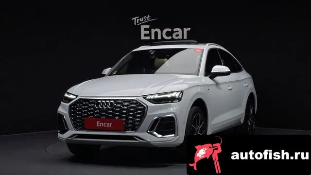 Audi Q5 Q5 (FY) 2023 года - вид 1