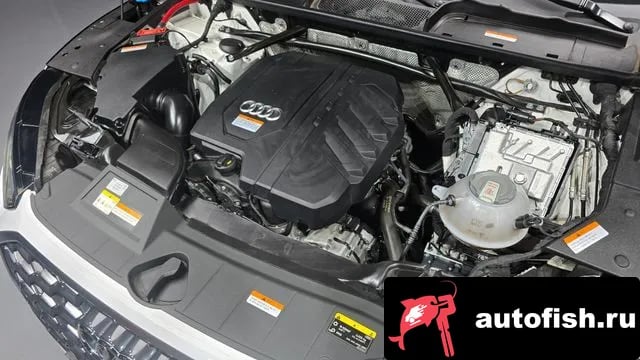 Audi Q5 Q5 (FY) 2023 года - вид 6