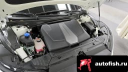 Миниатюра 6