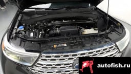 Миниатюра 6