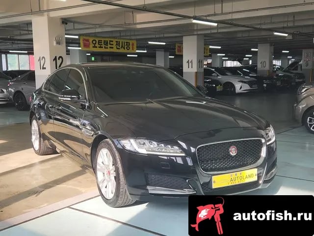 Jaguar XF XF (X260) 2019 года - вид 1