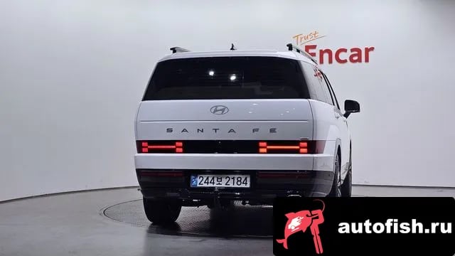 Hyundai Santafe San Tafe (MX5) 2024 года - вид 4