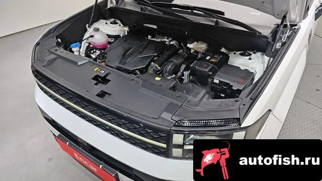 Hyundai Santafe San Tafe (MX5) 2024 года - вид 6