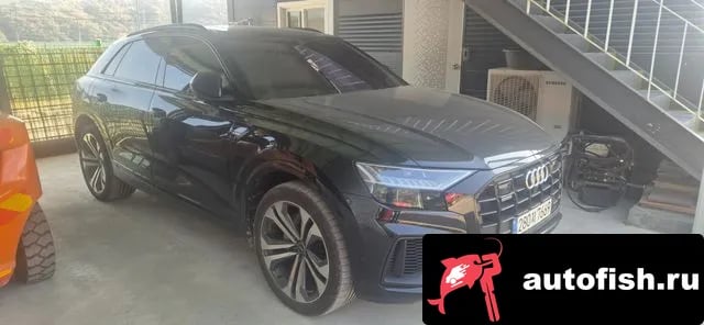 Audi Q8 Q8 (4M) 2023 года - вид 1