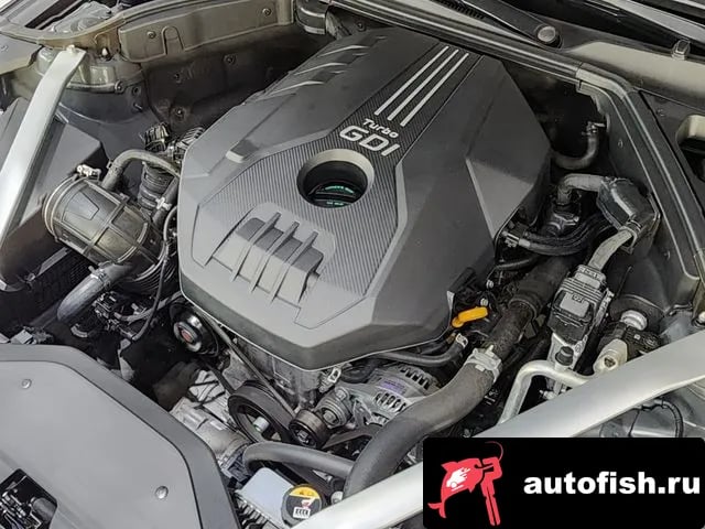 Genesis G70 The New G70 Shooting Break 2023 года - вид 6