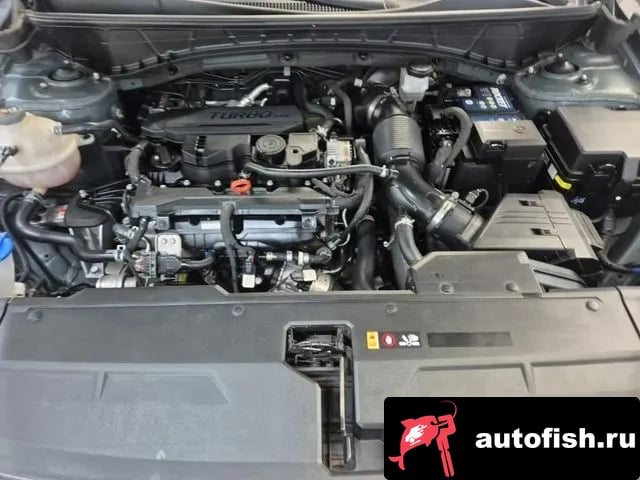 Hyundai Tucson Tucson (NX4) 2020 года - вид 5