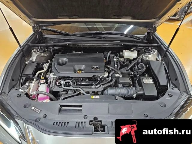 Lexus ES ES300h 7th generation 2024 года - вид 6