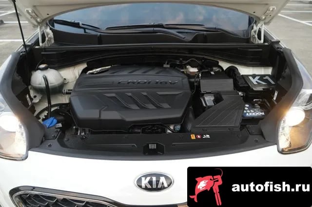 Kia Sportage Sportage The Bold 2020 года - вид 6