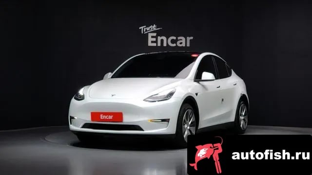 Tesla Model Y Model Y 2021 года - похожие автомобили