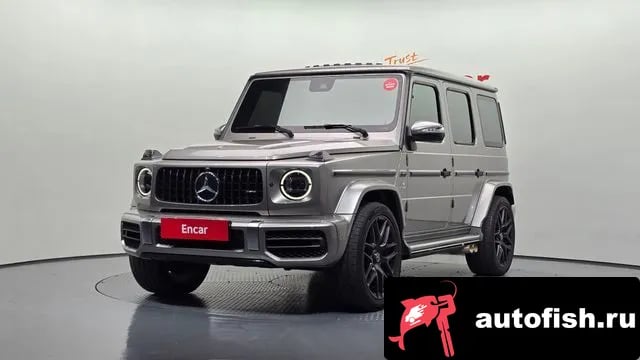 Mercedes-Benz G-Class G-Class W463b 2020 года - вид 1