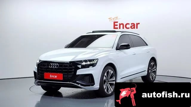 Audi Q8 Q8 (4M) 2023 года - вид 1