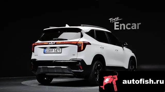 Kia Seltos The New Celtos 2024 года - похожие автомобили