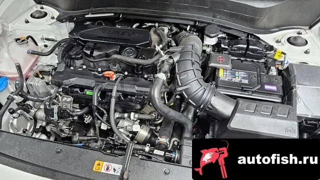 Kia Seltos The New Celtos 2024 года - вид 6