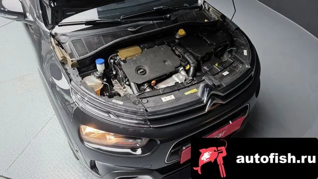 Citroen-DS C4 CACTUS C4 Cactus 2019 года - вид 6