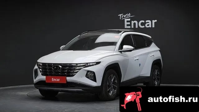 Hyundai Tucson Tucson Hybrid (NX4) 2023 года - вид 1