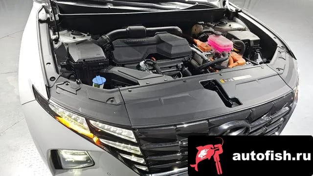 Hyundai Tucson Tucson Hybrid (NX4) 2023 года - вид 6