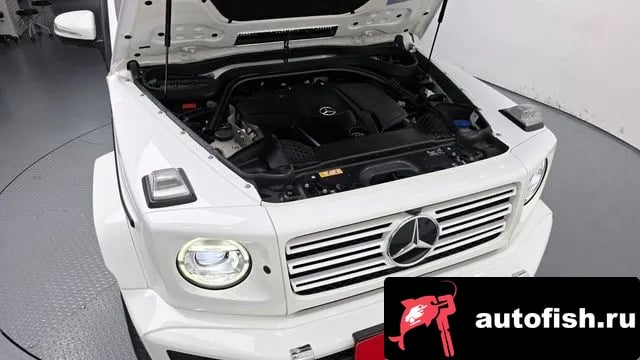 Mercedes-Benz G-Class G-Class W463b 2022 года - вид 6