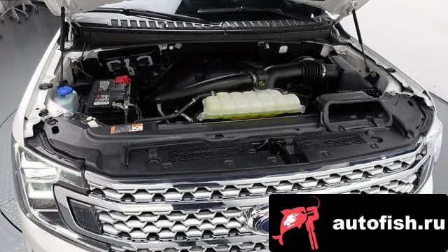 Ford Expedition Expeditation 2021 года - вид 6